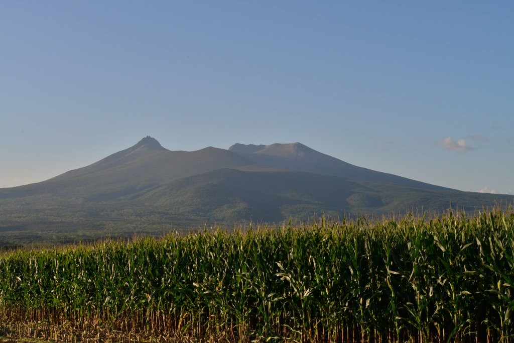 駒ヶ岳